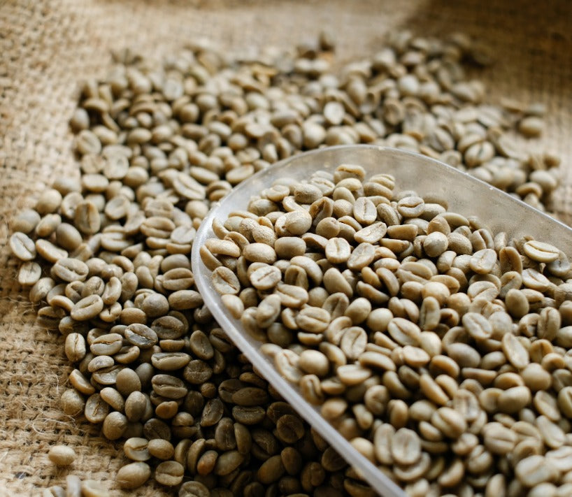 why specialty coffee matters at home