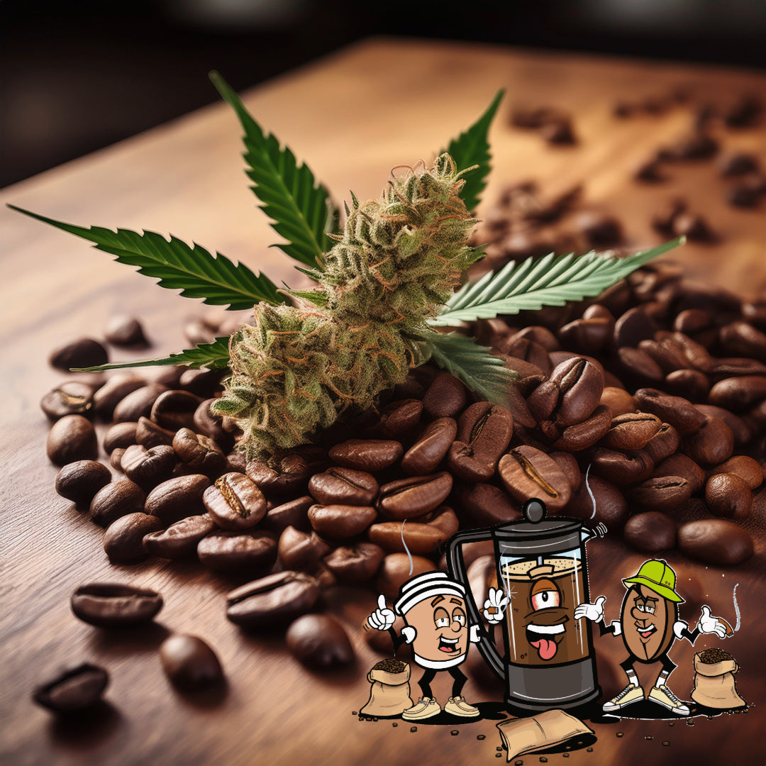 best cannabis coffee online