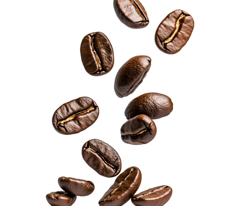 Premium Roast Coffee Beans Home
