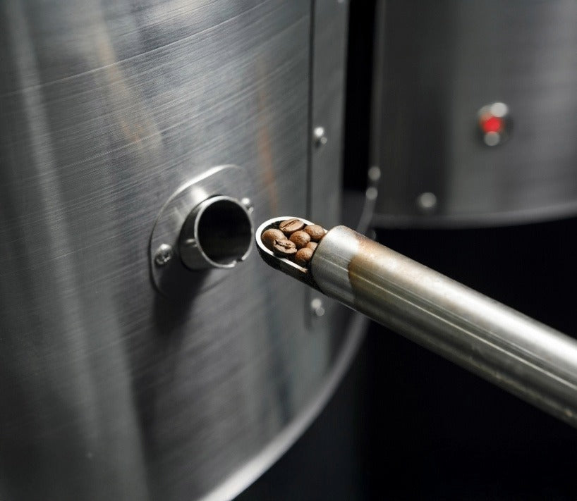 Specialty Coffee Beans for Home Brewer