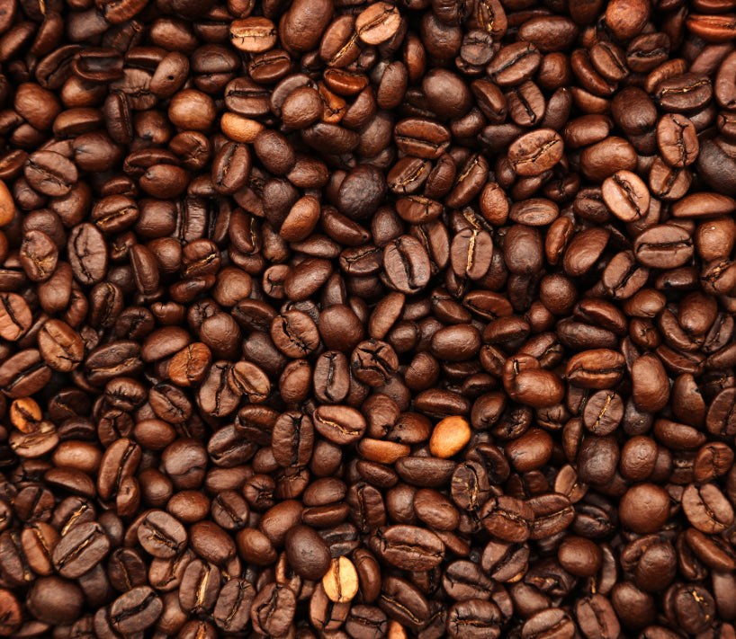 freshest craft coffee online