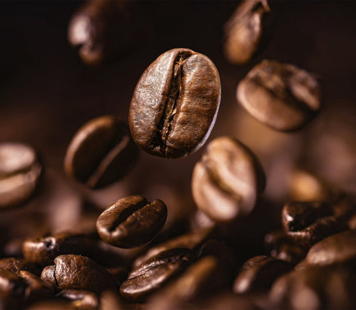 Finding the Sweet Spot Between Medium and Dark Roast Top Coffee
