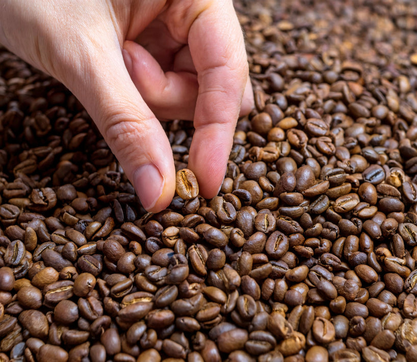 Paying Premium for a Perfect Pour? The Real Scoop on Specialty Coffee Pricing