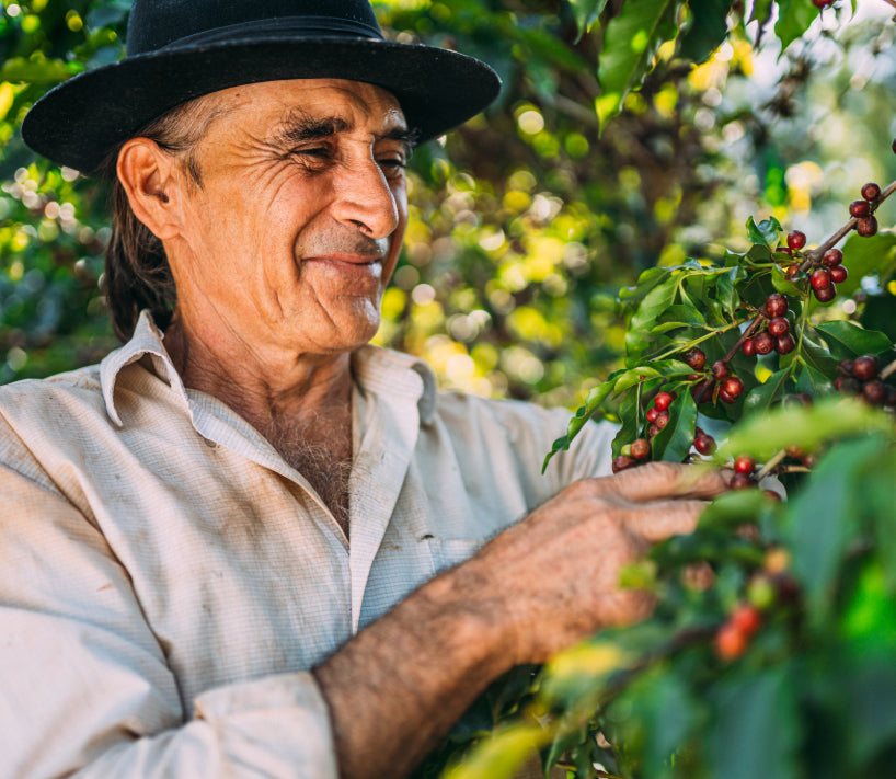 How Your Top Coffee Habit Supports Farmers and Communities