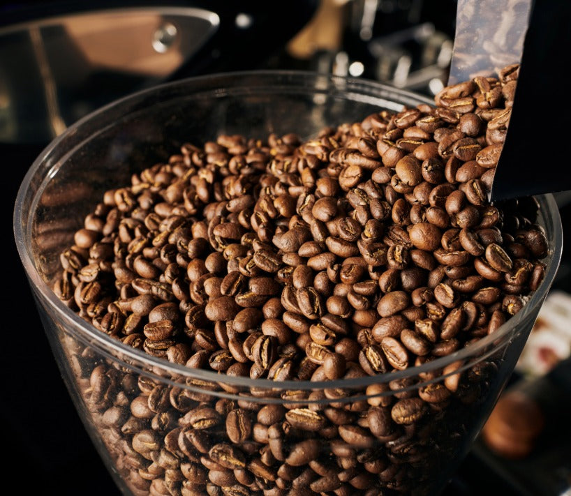 best specialty coffee online