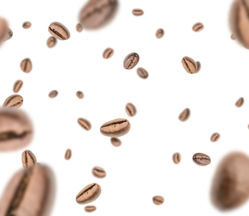 best tasting craft coffee online
