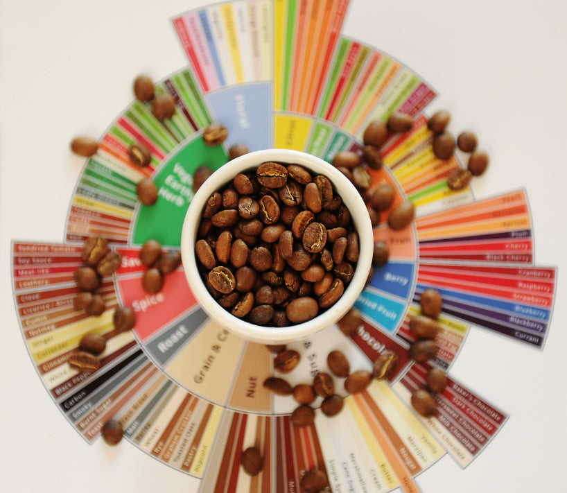 What Makes Specialty Coffee So Special?