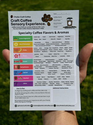 Best Craft Coffee Sensory Experience Game Cards