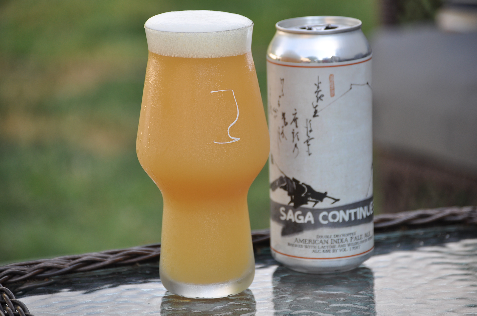 Best Glassware For Craft Beer and Best Craft Beer Glasses