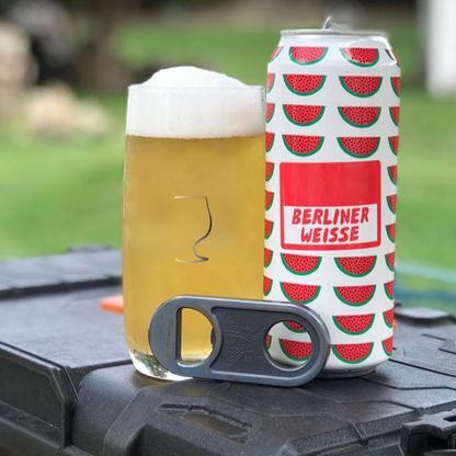 Best Glassware For Beer and Best IPA Beer Glassware